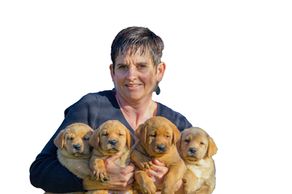 Mary Anne Sterling, Sterling Lab Puppies